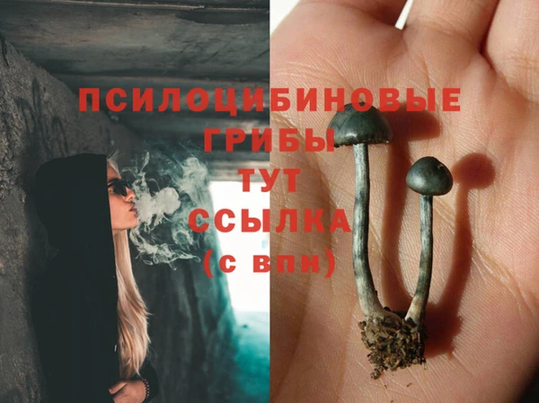 кокс Алексин